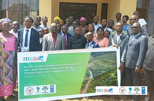 RDC : Longtemps focalisée sur les mines et pétrole, ITIE élargit désormais son champ d’application au secteur forestier