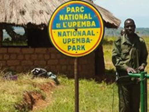 Lubumbashi : 10 colliers placés sur le zèbre et 9 sur les éléphants, Tina Lain explique les objectifs de cette opération dans le parc de l&rsquo;Upemba
